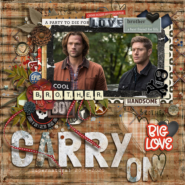 Carry on
