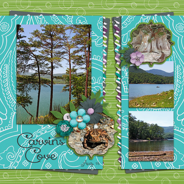 Carvins Cove