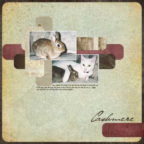 Cashmere