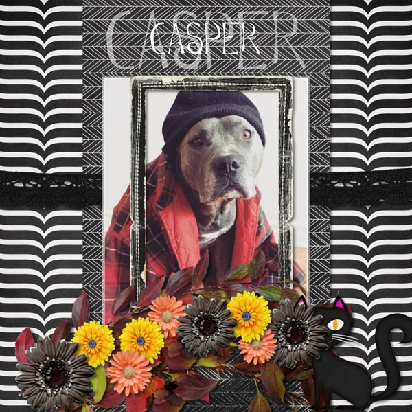 Casper