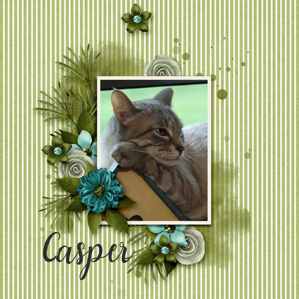 Casper