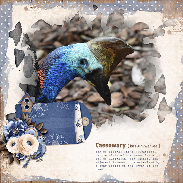 Cassowary