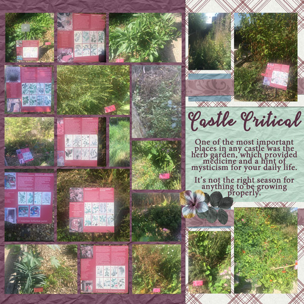 Castle Critical Garden | Mini Kit Challenge