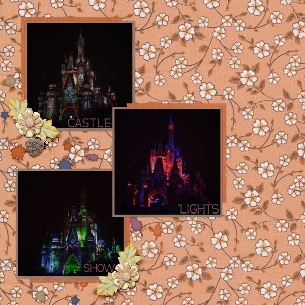 Castle Lights Show