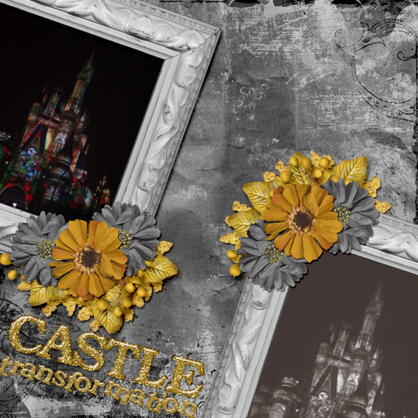 Castle Transformation