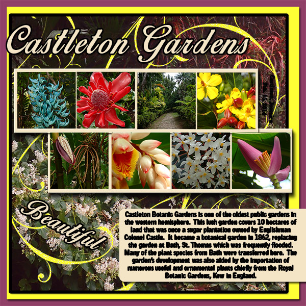 Castleton Garden