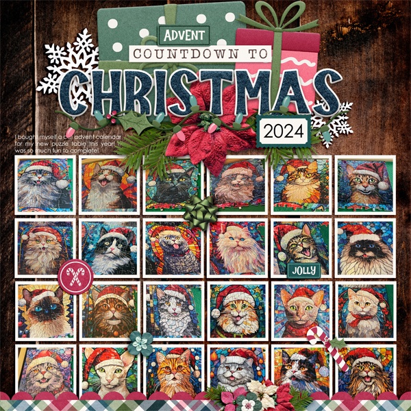 Cat Advent Calendar