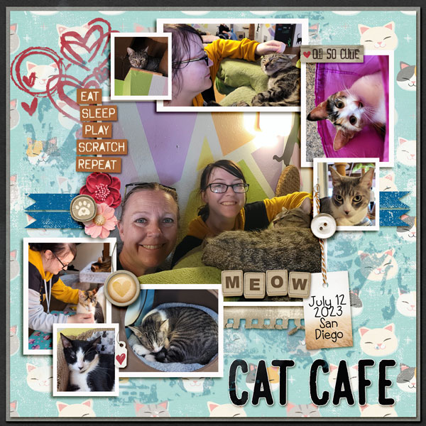 Cat Cafe