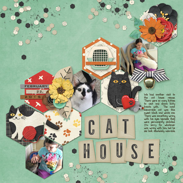 Cat House