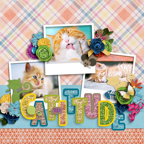 Cat-itude