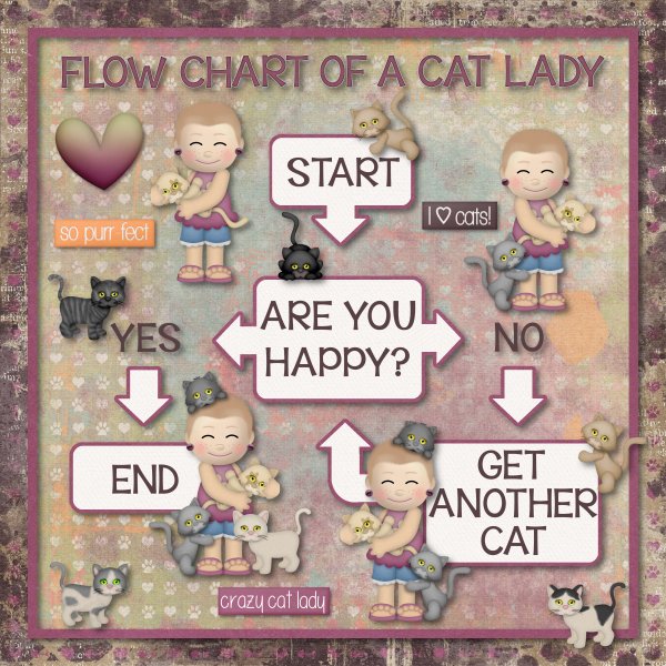 cat lady flow chart