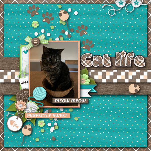 Cat Life
