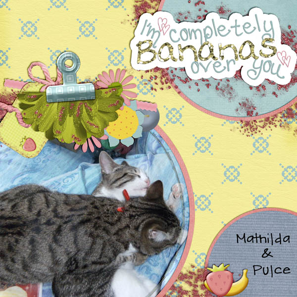 Cat love: Mathilda +amp; Pulce