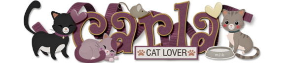 Cat Lover