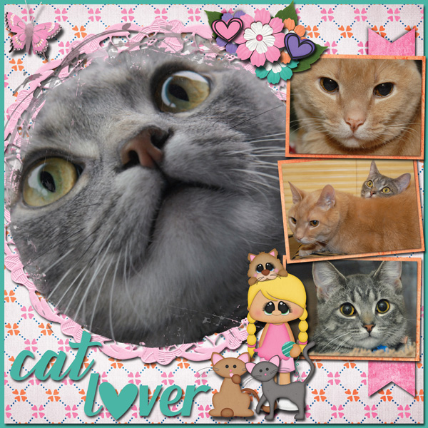 Cat Lover