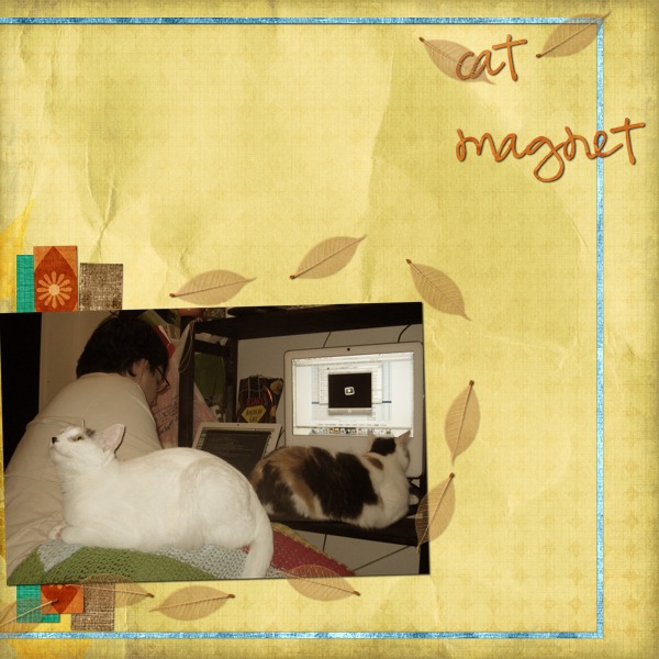 Cat Magnet