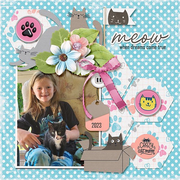 Cat Mom