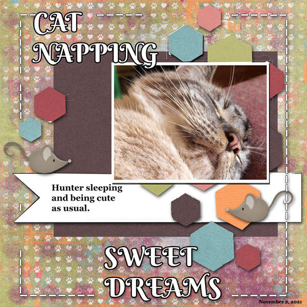 Cat Napping