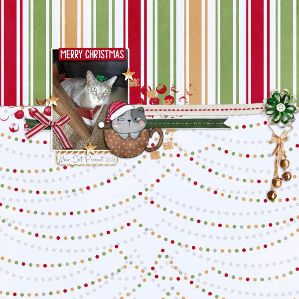 Cat Present