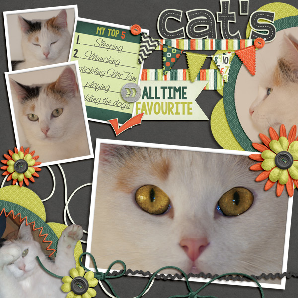 Cat s Top 5