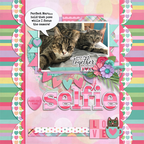 Cat Selfie