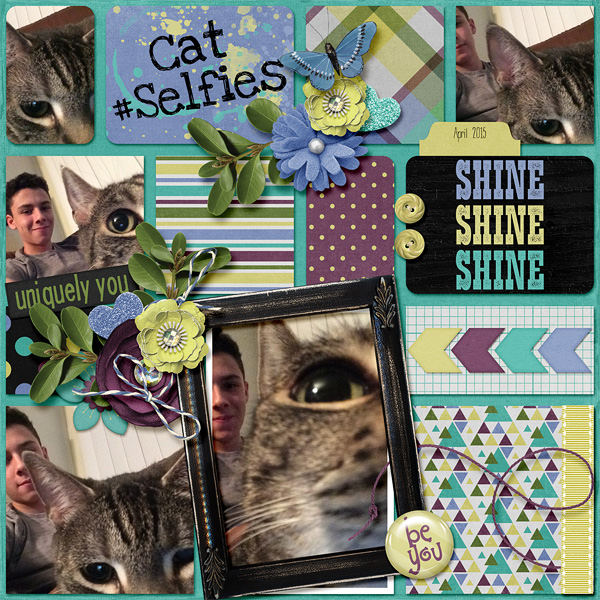 Cat Selfies