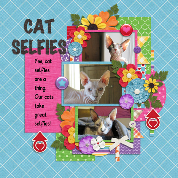 Cat Selfies