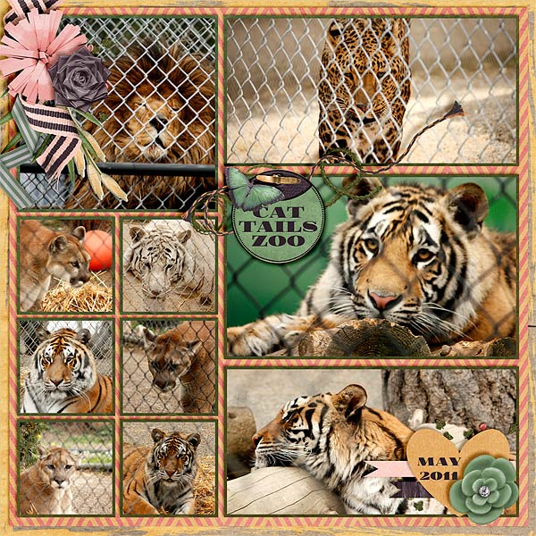 Cat Tails Zoo