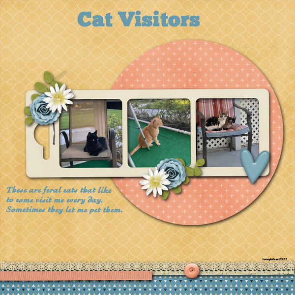 Cat Visitors