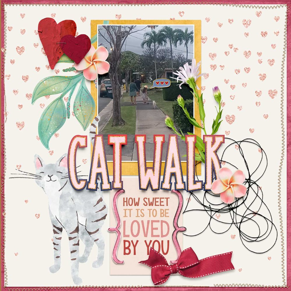 Cat-Walk-webv.jpg
