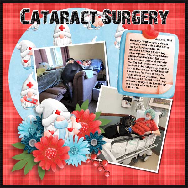 Cataract_Surgery