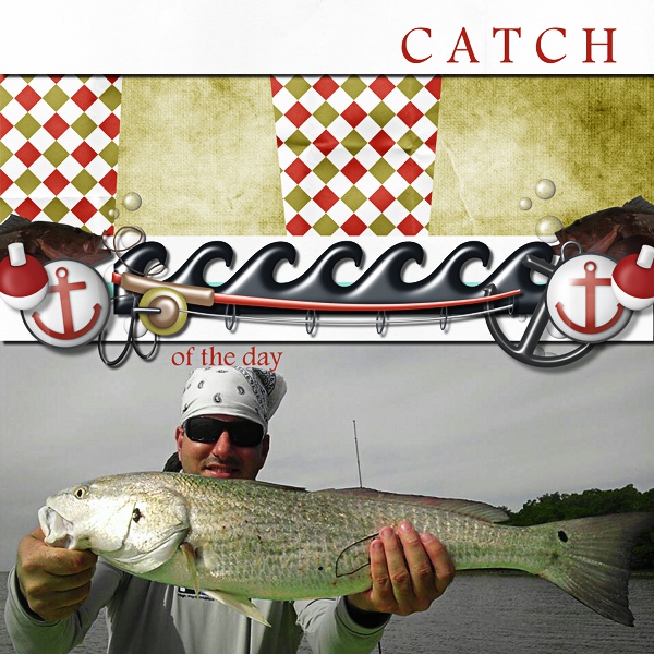 Catch of the Day