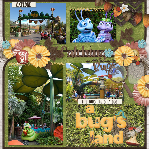 Catching Bugs - A Bug's Land