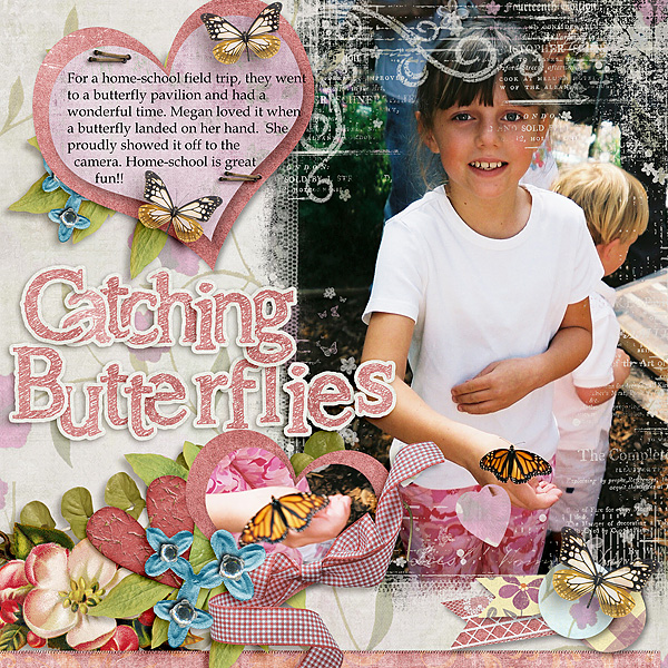 Catching Butterflies