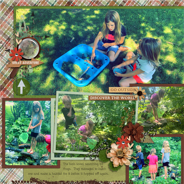 Catching Frogs