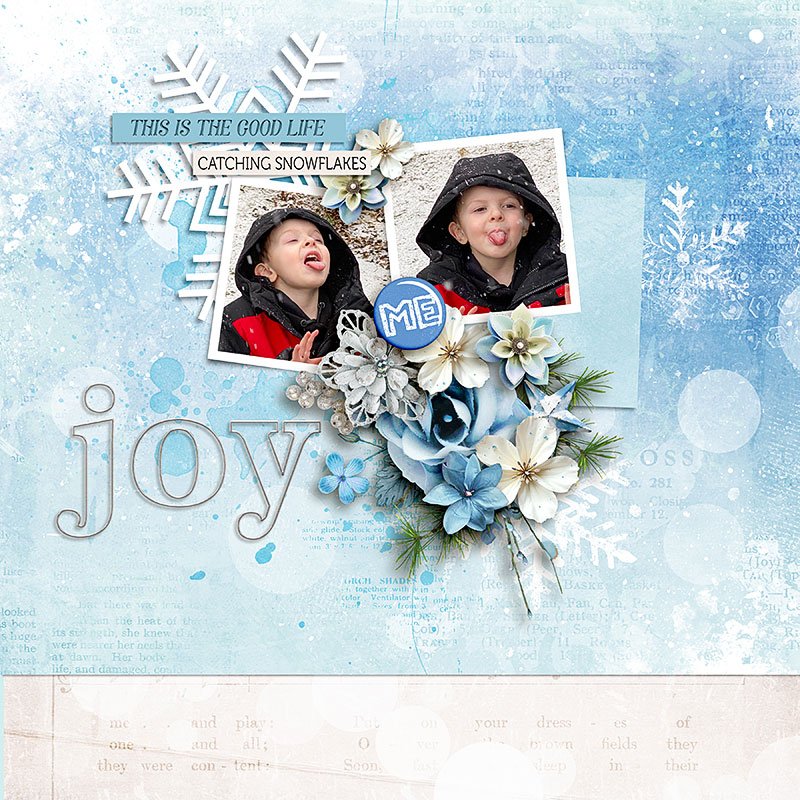 Catching-Snowflakes.jpg