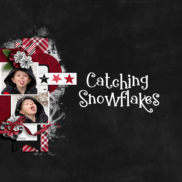 Catching-Snowflakes