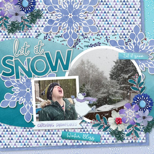 Catching Snowflakes