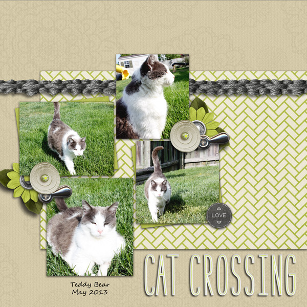 catcrossing