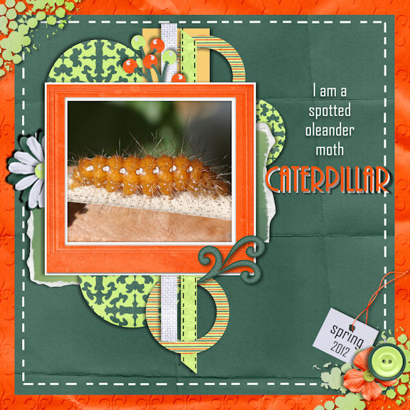 Caterpillar