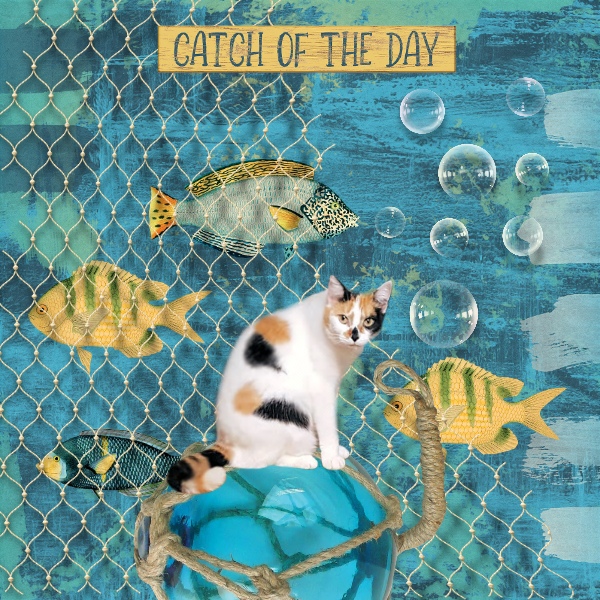 Catfish