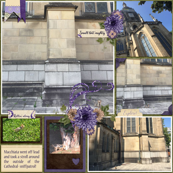 Cathedral Sniffs