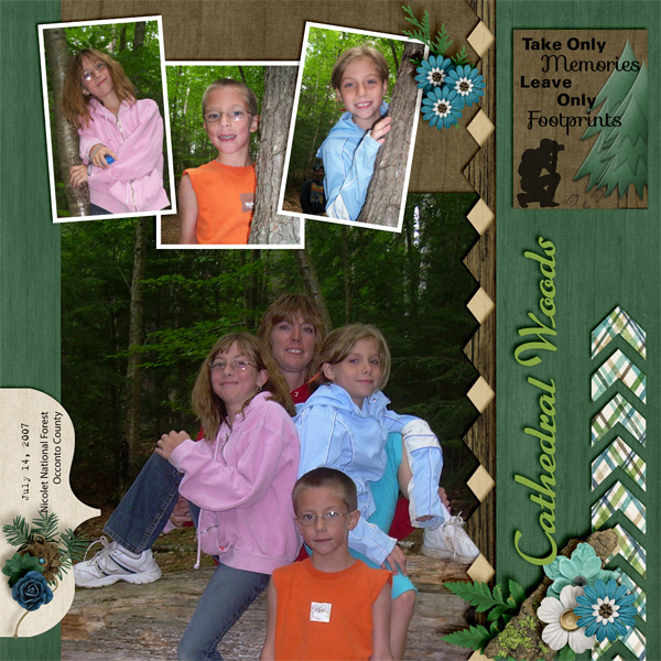 Cathedral_Woods