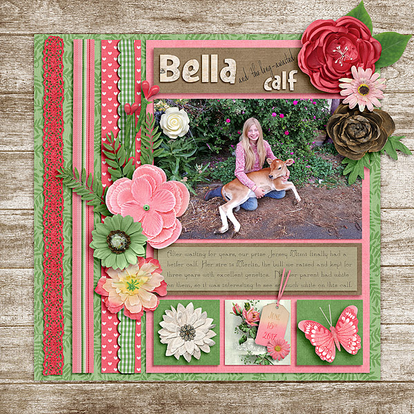 CathyK_SummerBlooms-Aprilisa_PicturePerfect135_Bella6-2017-copy