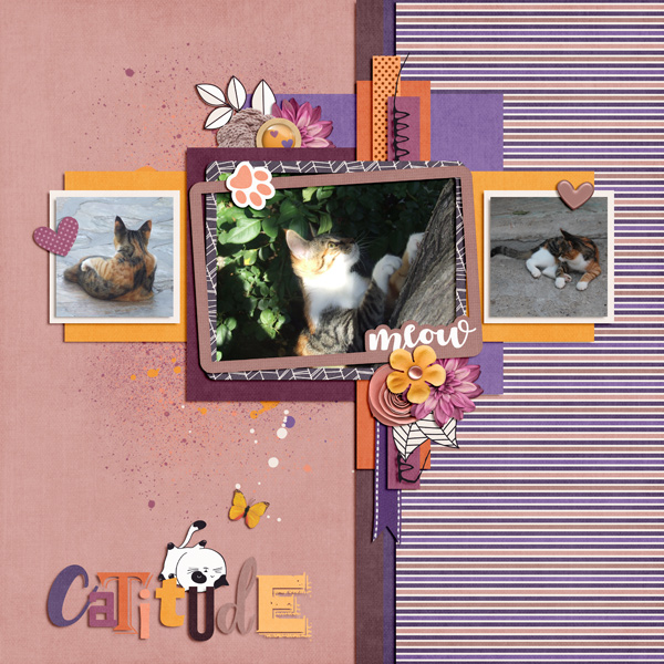 catitude