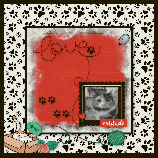 Catitude!