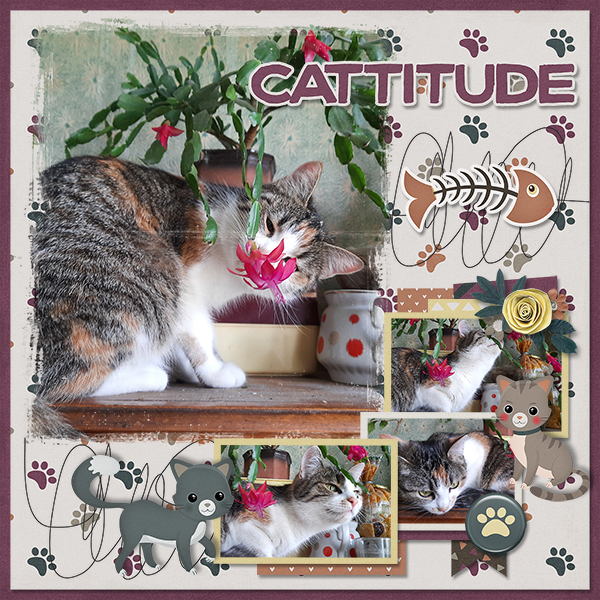 Catitude