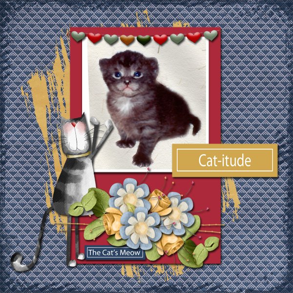 Catitude