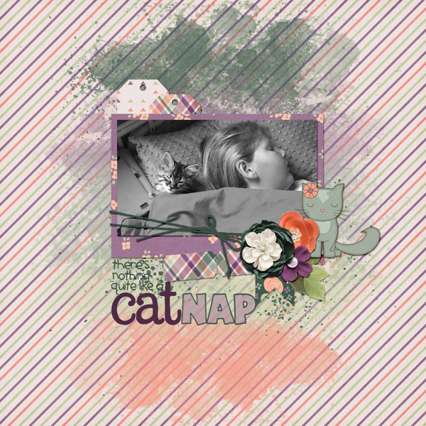 catnap