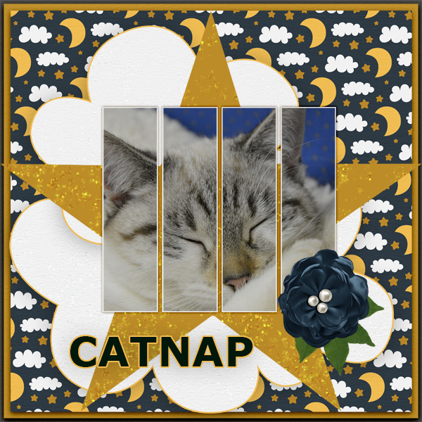 catnap